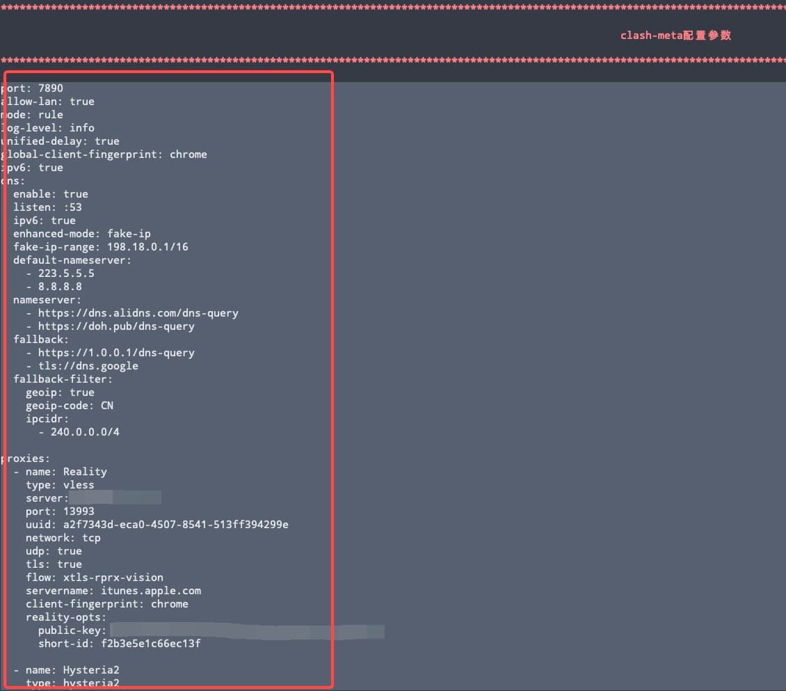 VPS, VPN, clash meta, nekoray